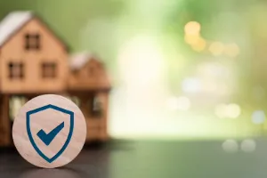 Cámaras de vigilancia para el hogar: tipos y cuál elegir