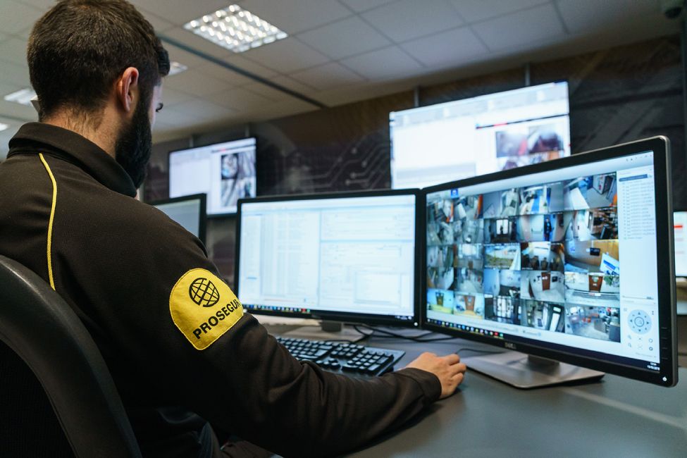 seguridad profesional para grandes empresas